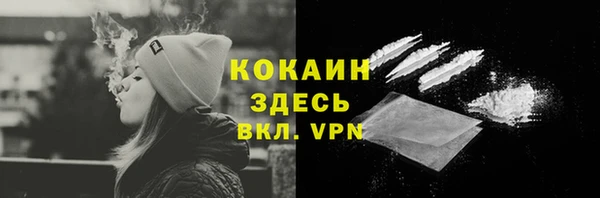 не бодяженный Алексин