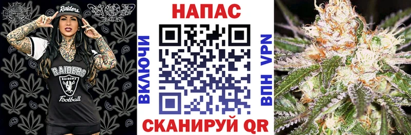 MEGA ТОР  Петровск-Забайкальский  Бошки Шишки Bruce Banner 
